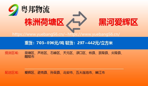 株洲荷塘区到爱辉区物流