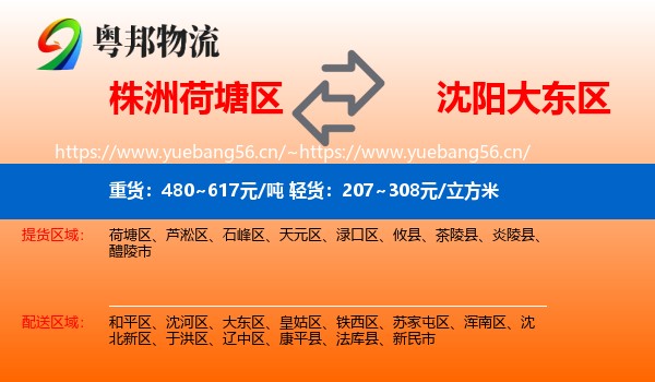 株洲荷塘区到大东区物流