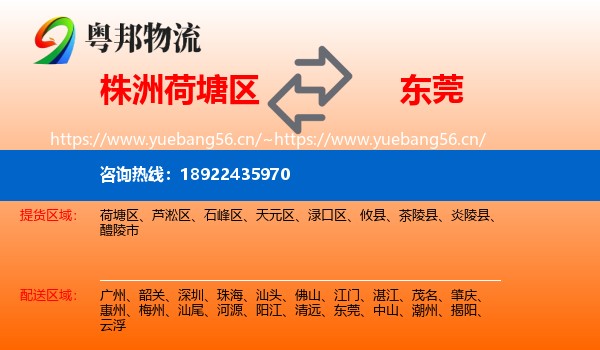 株洲荷塘区到东莞物流
