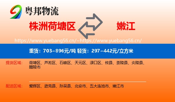 株洲荷塘区到嫩江市物流