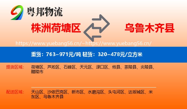 株洲荷塘区到乌鲁木齐县物流
