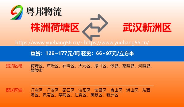 株洲荷塘区到新洲区物流