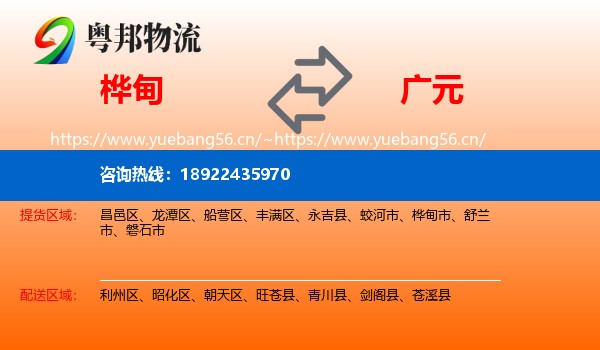 桦甸到广元物流