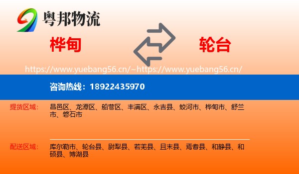 桦甸到轮台县物流