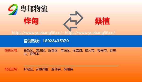 桦甸到桑植县物流