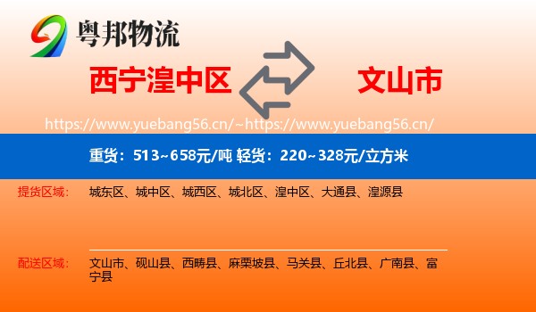 西宁湟中区到文山市物流