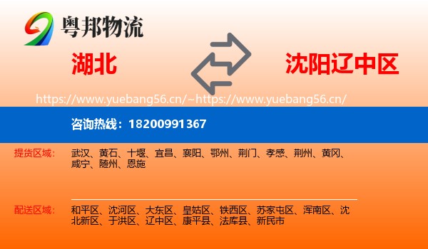 湖北到辽中区物流专线