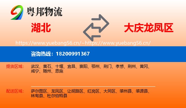 湖北到龙凤区物流