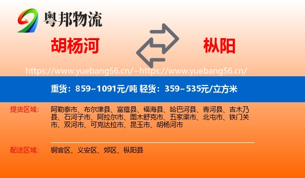 胡杨河到枞阳县物流