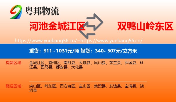 河池金城江区到岭东区物流
