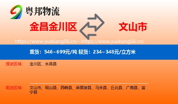 金昌金川区到文山市物流