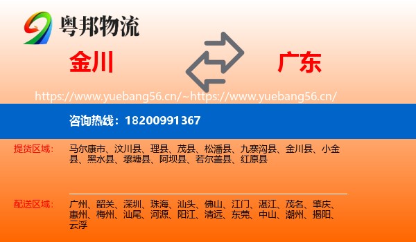 金川到广东物流