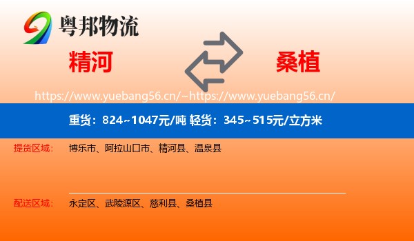 精河到桑植县物流