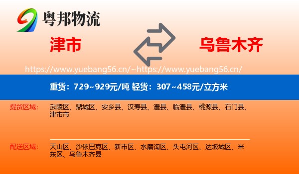 津市到乌鲁木齐物流
