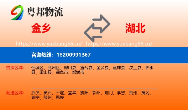 金乡到湖北物流