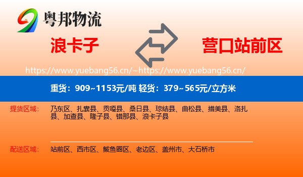 浪卡子到站前区物流