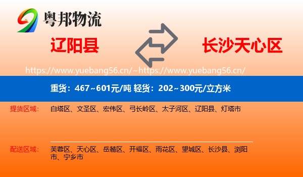 辽阳县到天心区物流