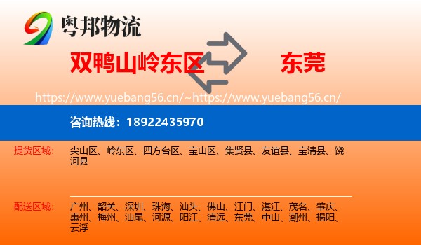 双鸭山岭东区到东莞物流