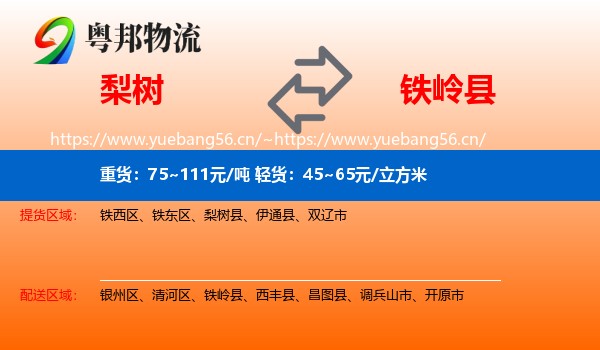 梨树到铁岭县物流