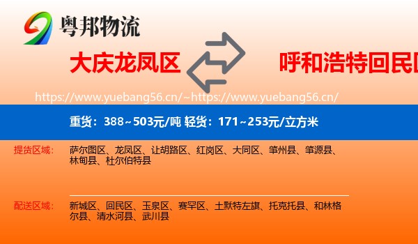 大庆龙凤区到回民区物流