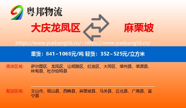 大庆龙凤区到麻栗坡县物流