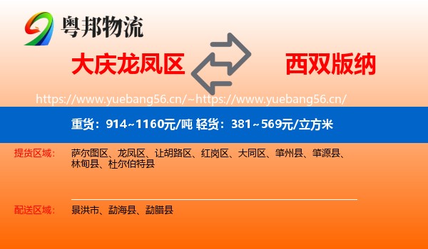 大庆龙凤区到西双版纳物流