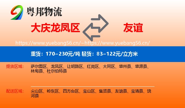 大庆龙凤区到友谊县物流