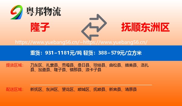 隆子到东洲区物流