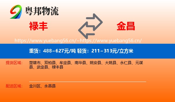 禄丰到金昌物流