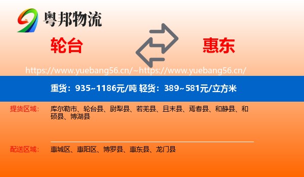 轮台到惠东县物流