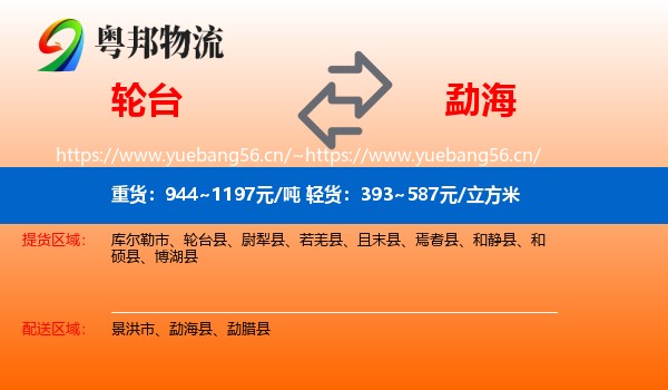 轮台到勐海县物流