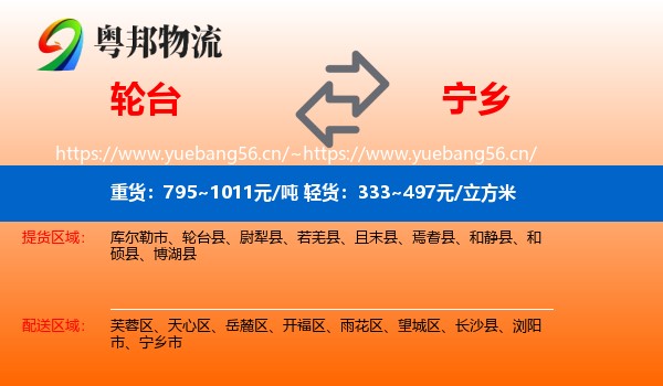 轮台到宁乡市物流