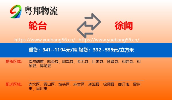 轮台到徐闻县物流