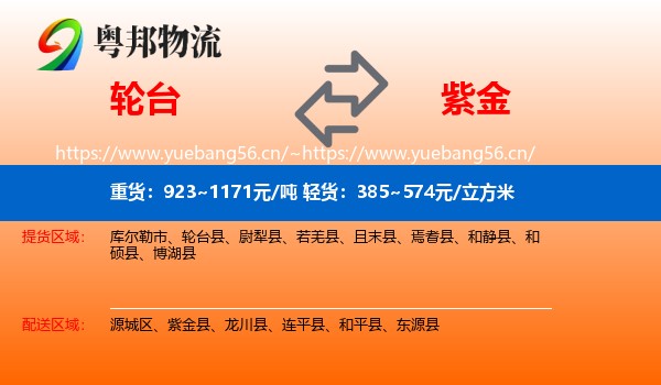 轮台到紫金县物流
