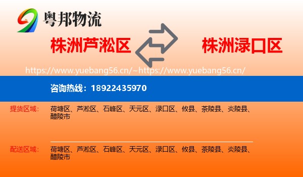 株洲芦淞区到渌口区物流