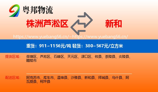 株洲芦淞区到新和县物流