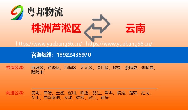 株洲芦淞区到云南物流