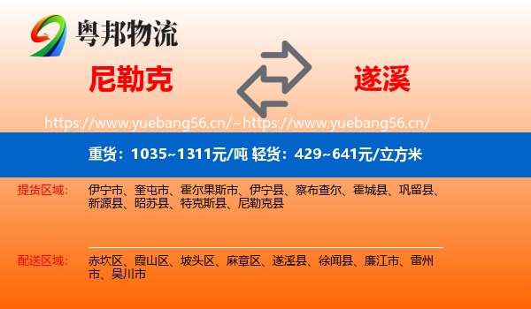 尼勒克到遂溪县物流