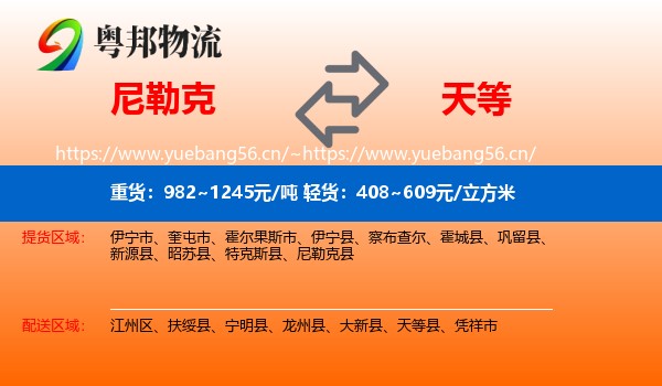 尼勒克到天等县物流