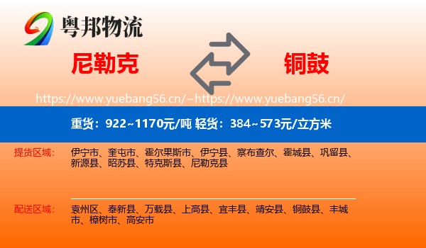 尼勒克到铜鼓县物流
