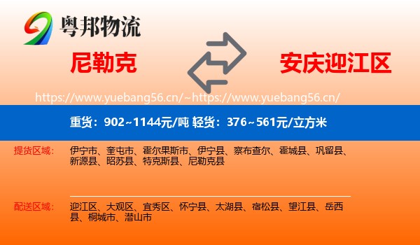 尼勒克到迎江区物流