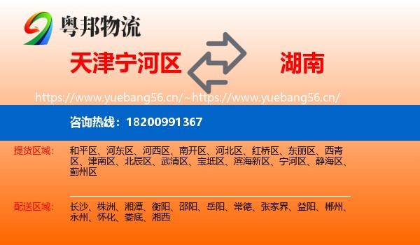 天津宁河区到湖南物流