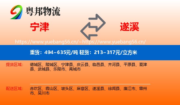 宁津到遂溪县物流