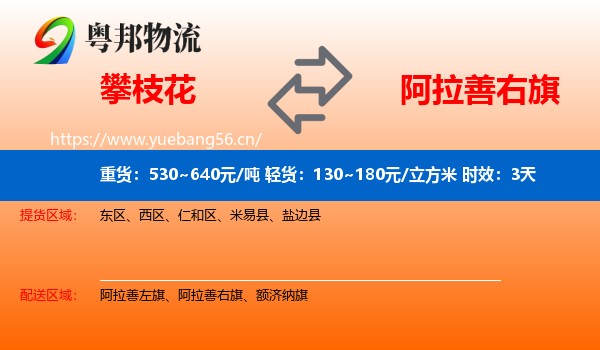 攀枝花到阿拉善右旗物流 攀枝花到阿拉善右旗物流专线名片