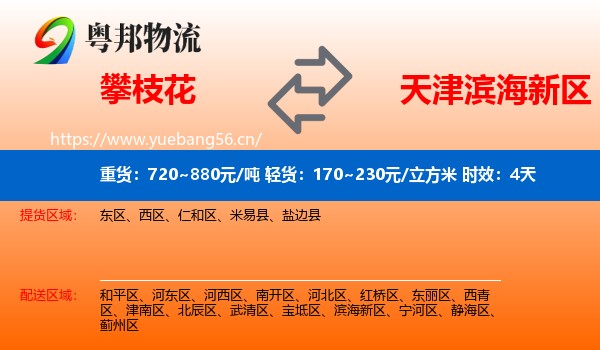 攀枝花到滨海新区物流 攀枝花到滨海新区物流专线名片