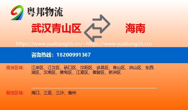 武汉青山区到海南物流