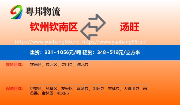 钦州钦南区到汤旺县物流