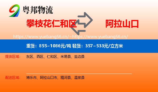 攀枝花仁和区到阿拉山口市物流