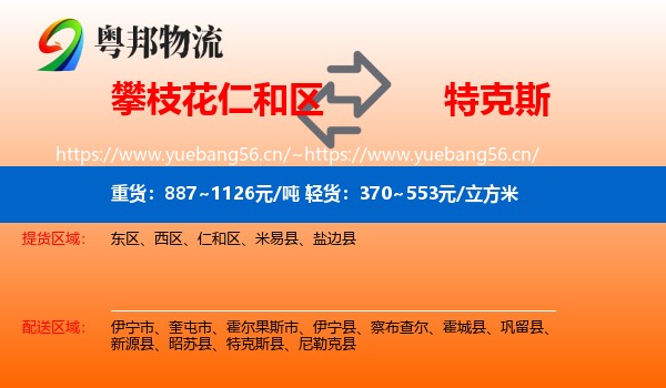 攀枝花仁和区到特克斯县物流