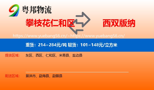 攀枝花仁和区到西双版纳物流